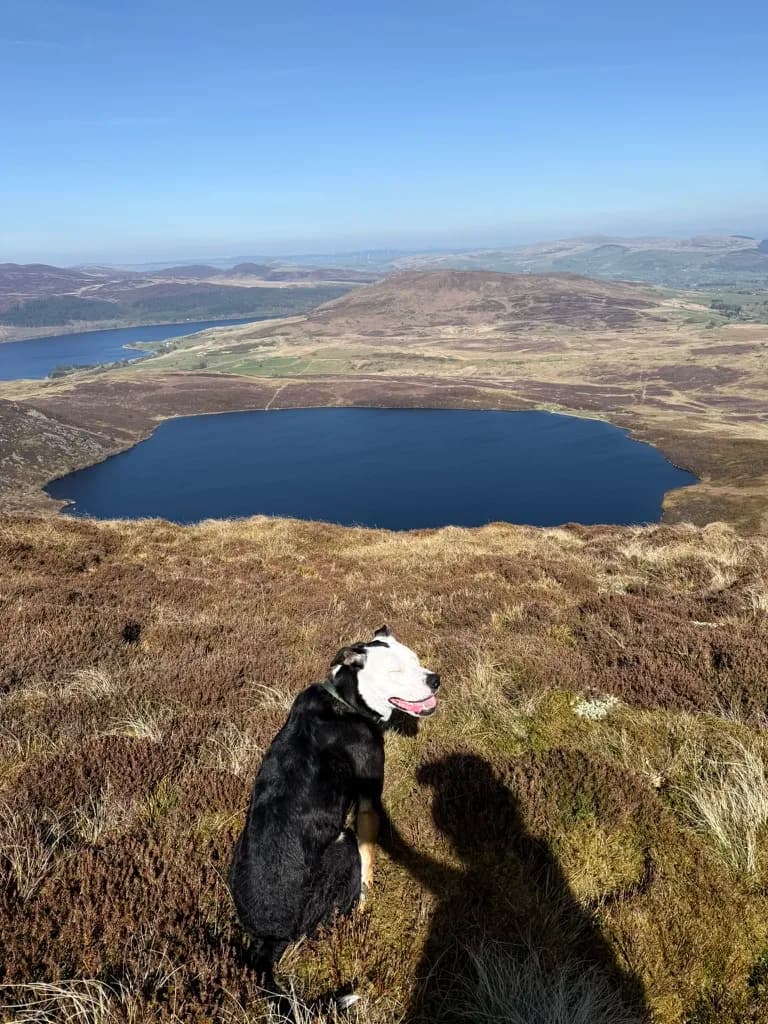 Duncan on a mountainside above a lake