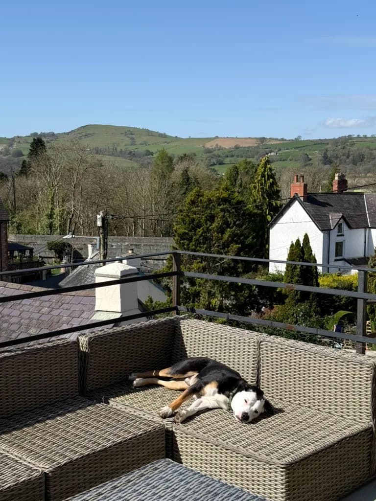 Duncan asleep in the sun on the terrace
