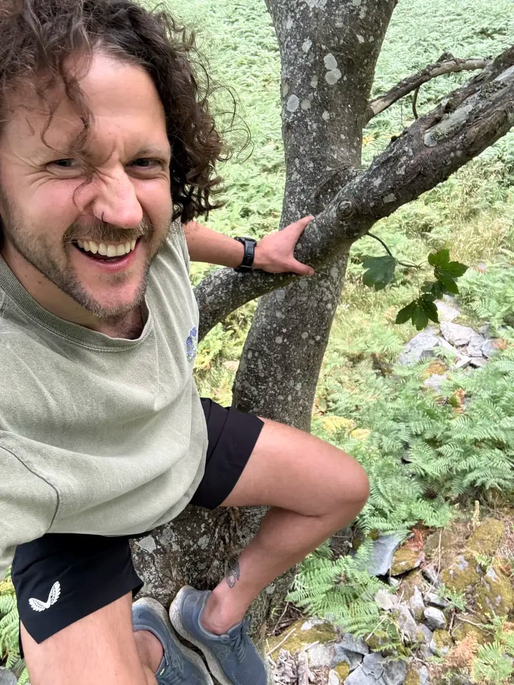 James grinning, halfway up a tree